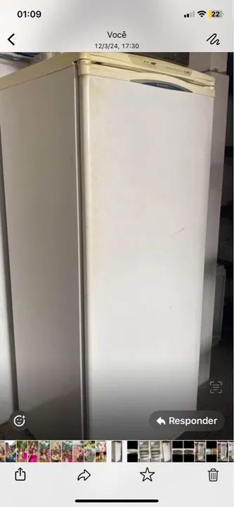 Freezer Brastemp vertical 110w