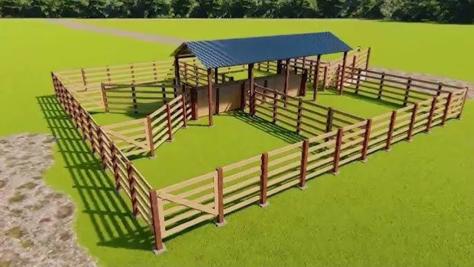 Curral pra boi e ovelha 