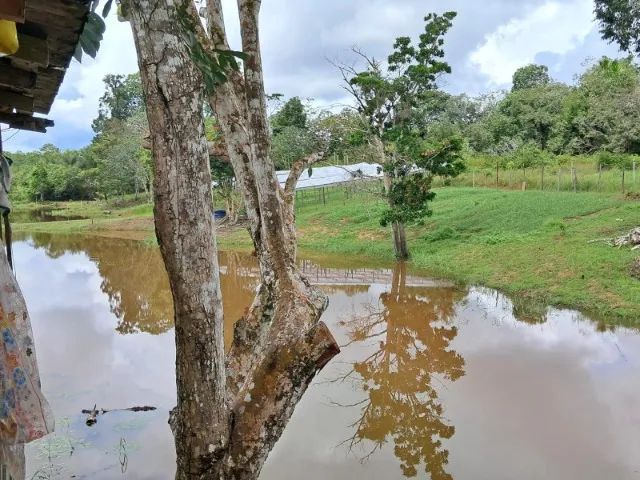 Sitio com Crianção de tambaqui e hortaliças  - Foto 2