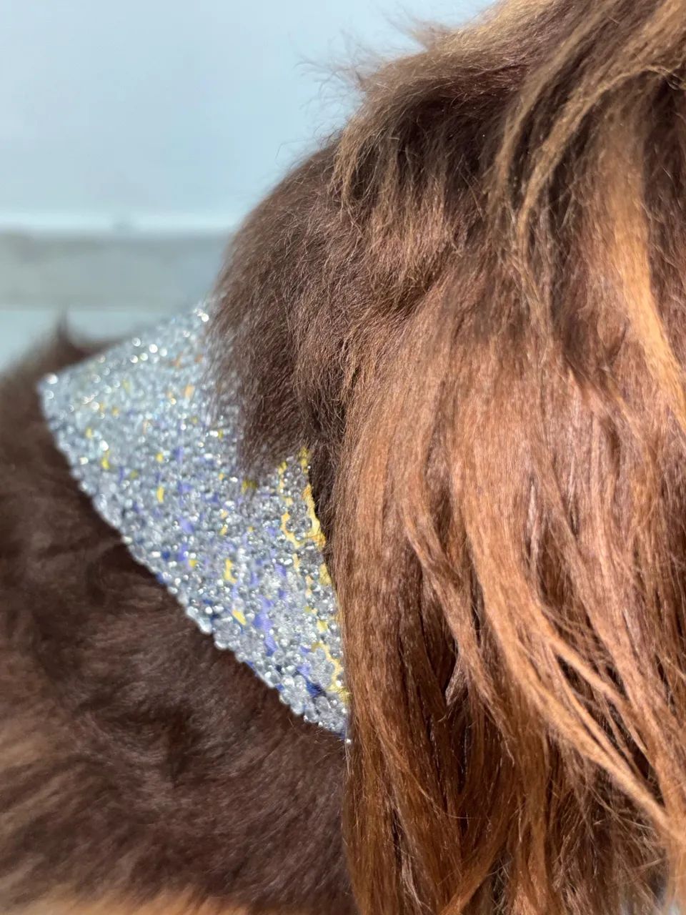 bandana pet carnaval com brilho  feita à mão - Foto 3