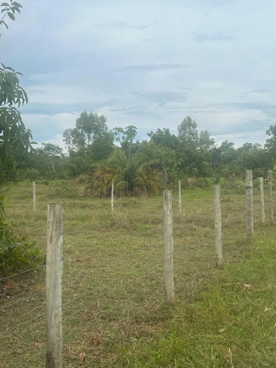 Foto - Palmas - Plano Diretor Sul