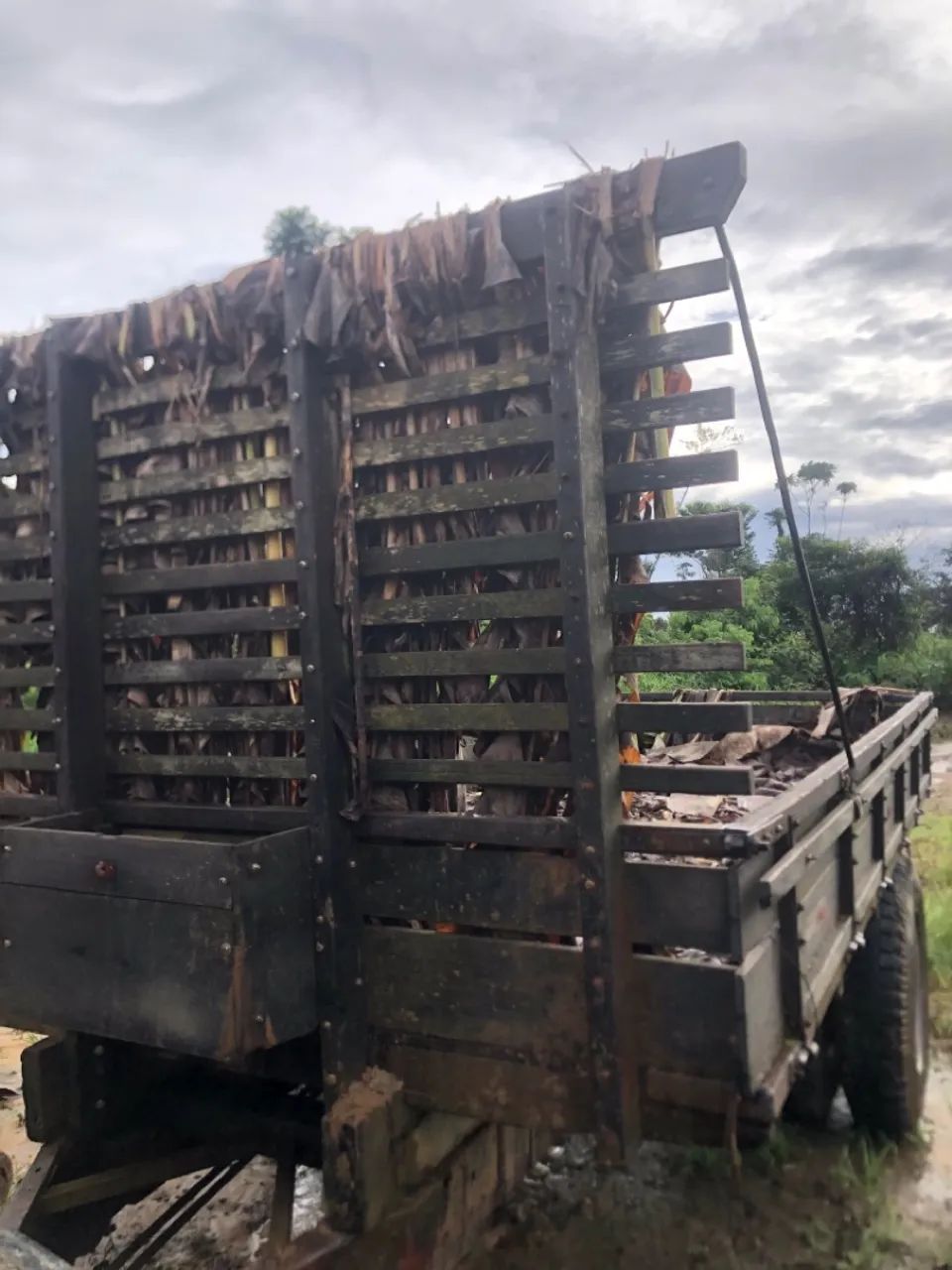 Trator Agrícola com Carreta - Potência e Eficiência - Foto 4