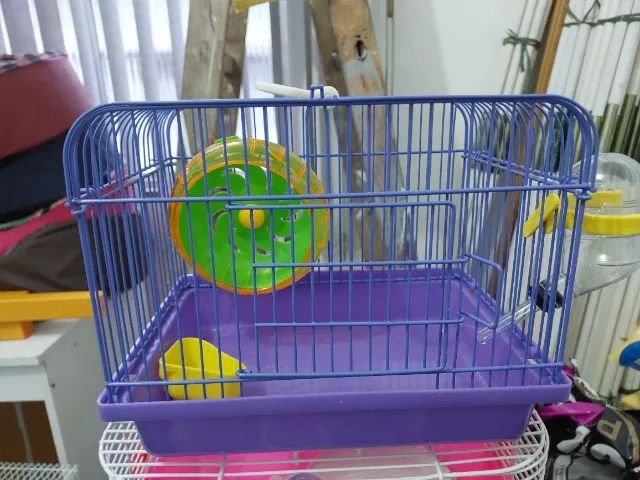 Gaiola transporte para hamister - Foto 2
