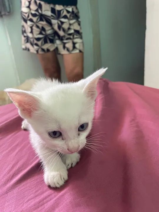 doação responsável 