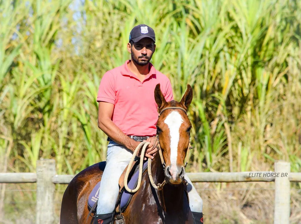 LINDA ÉGUA MM - NEGOCIÁVEL  - Foto 6