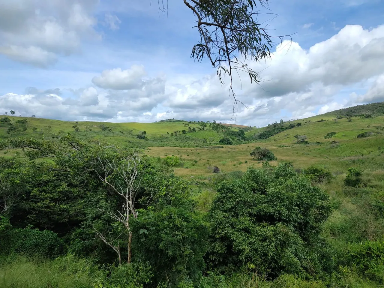 Vendo Sítio Na Limeira Em Gravatá 11,5 Hectares R$ 350 MIL Nascente De Água mineral ESCRIT