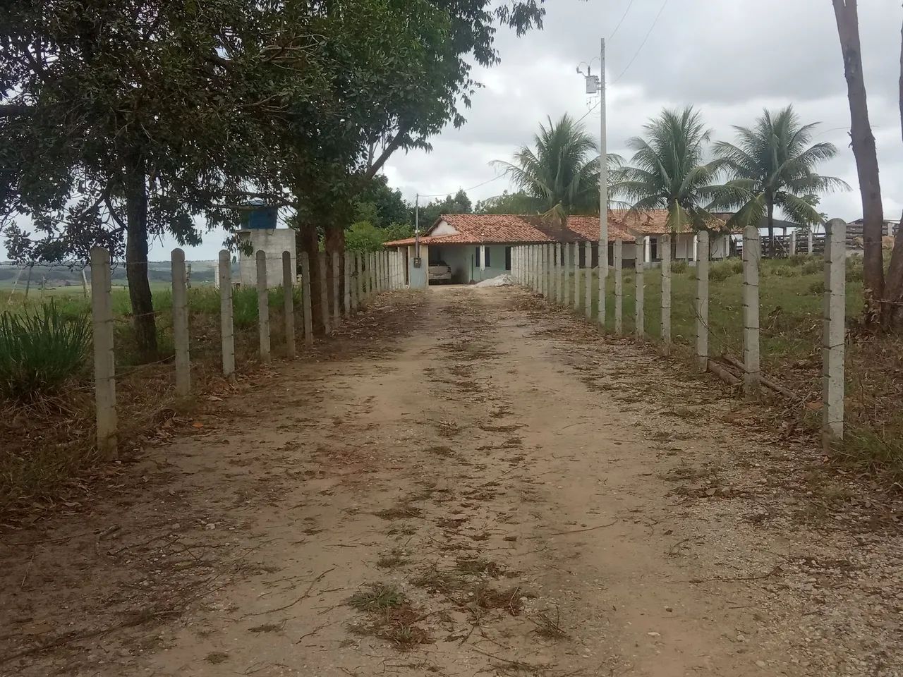 Fazendinha top! - Foto 4