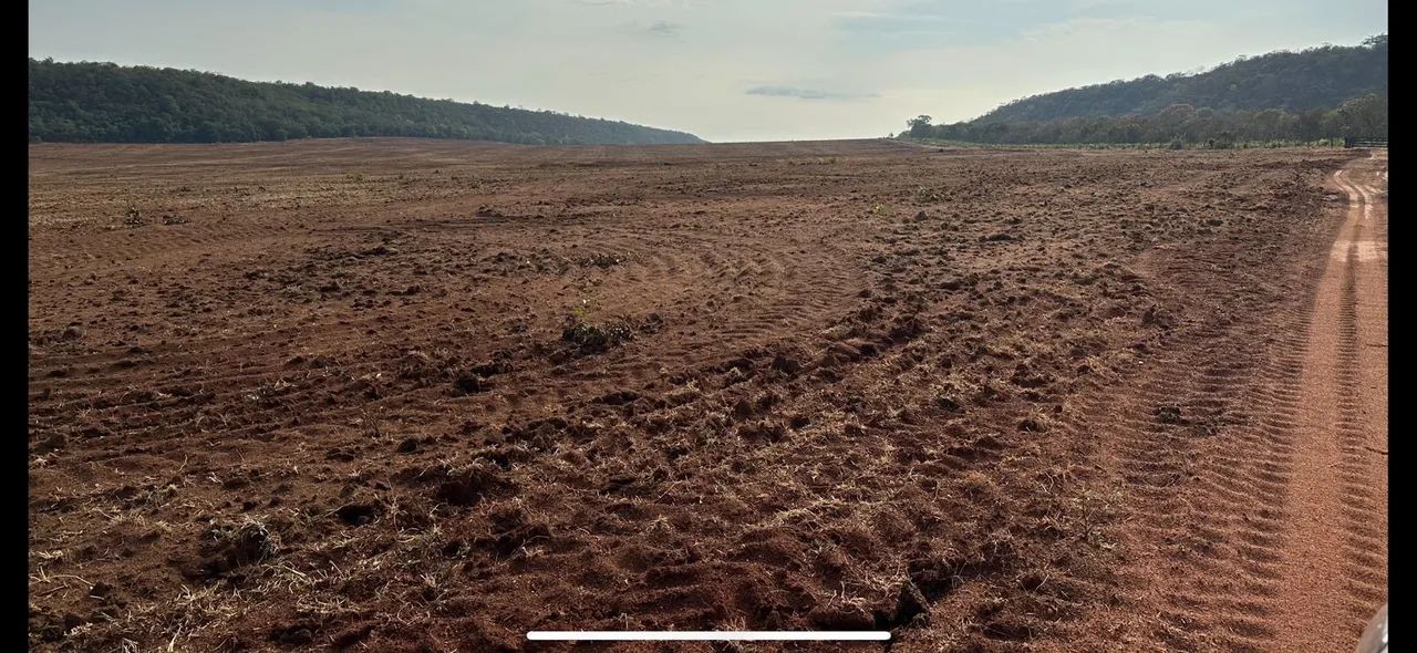 Fazenda arrendamento 3.000 hec em pasto, libera acima de 500hec 1° as no outro mais  - Foto 6
