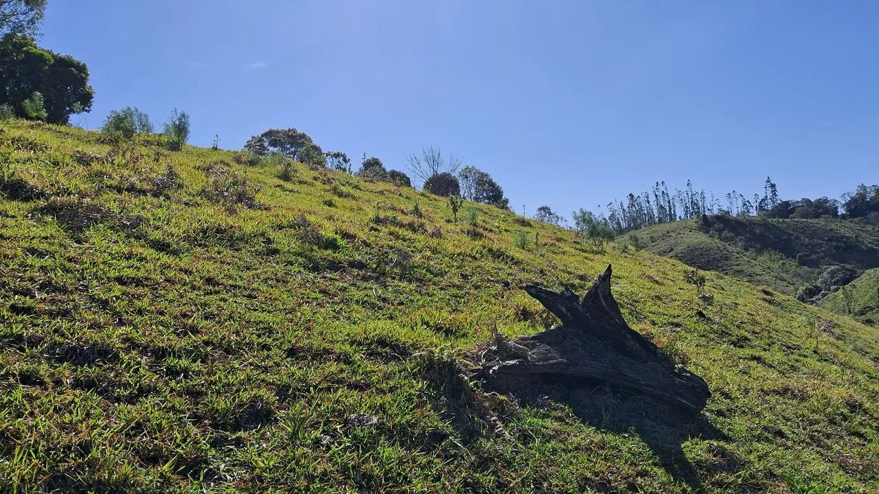 Terrenos a partir de 2 hectares em Anitápolis-SC  - Foto 3