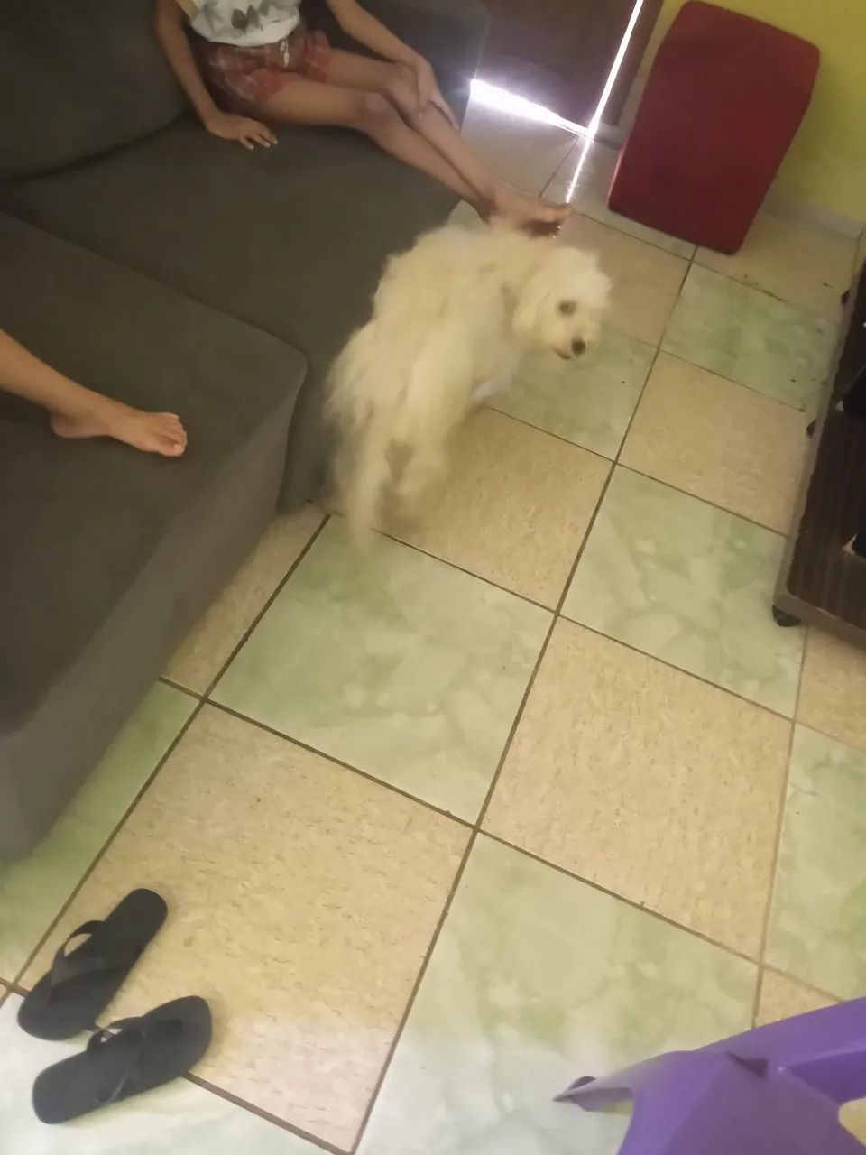 Precisando de cuidados  - Foto 2