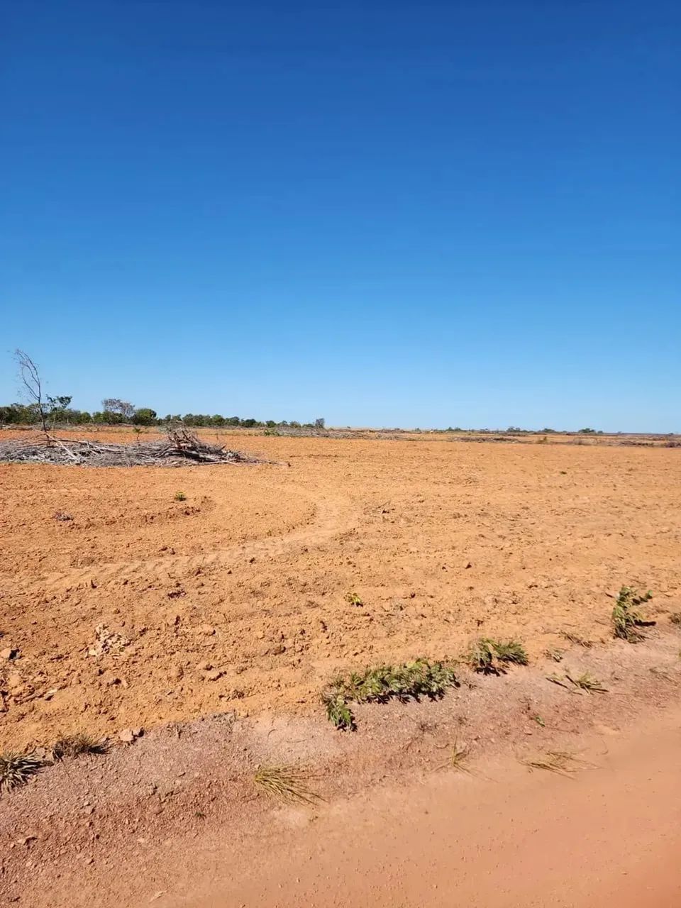 Fazenda a venda, em Ponte Alta Tocantins!!! - Foto 5