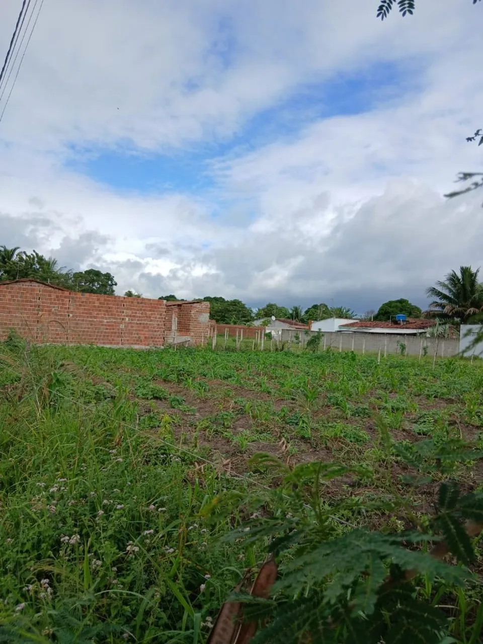 Venda de dois terreno em sapé, pb
