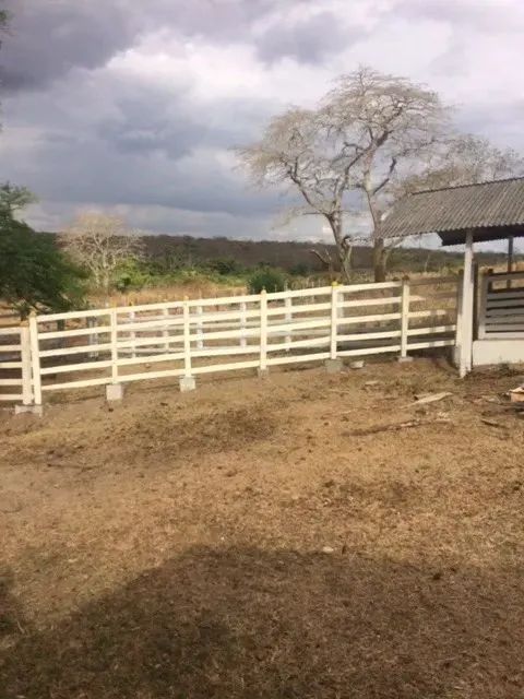 Ótimo para Empreendedorismo, Fazenda 16 hec, Rio e 2 Açudes Perene, Agrestina - Foto 8