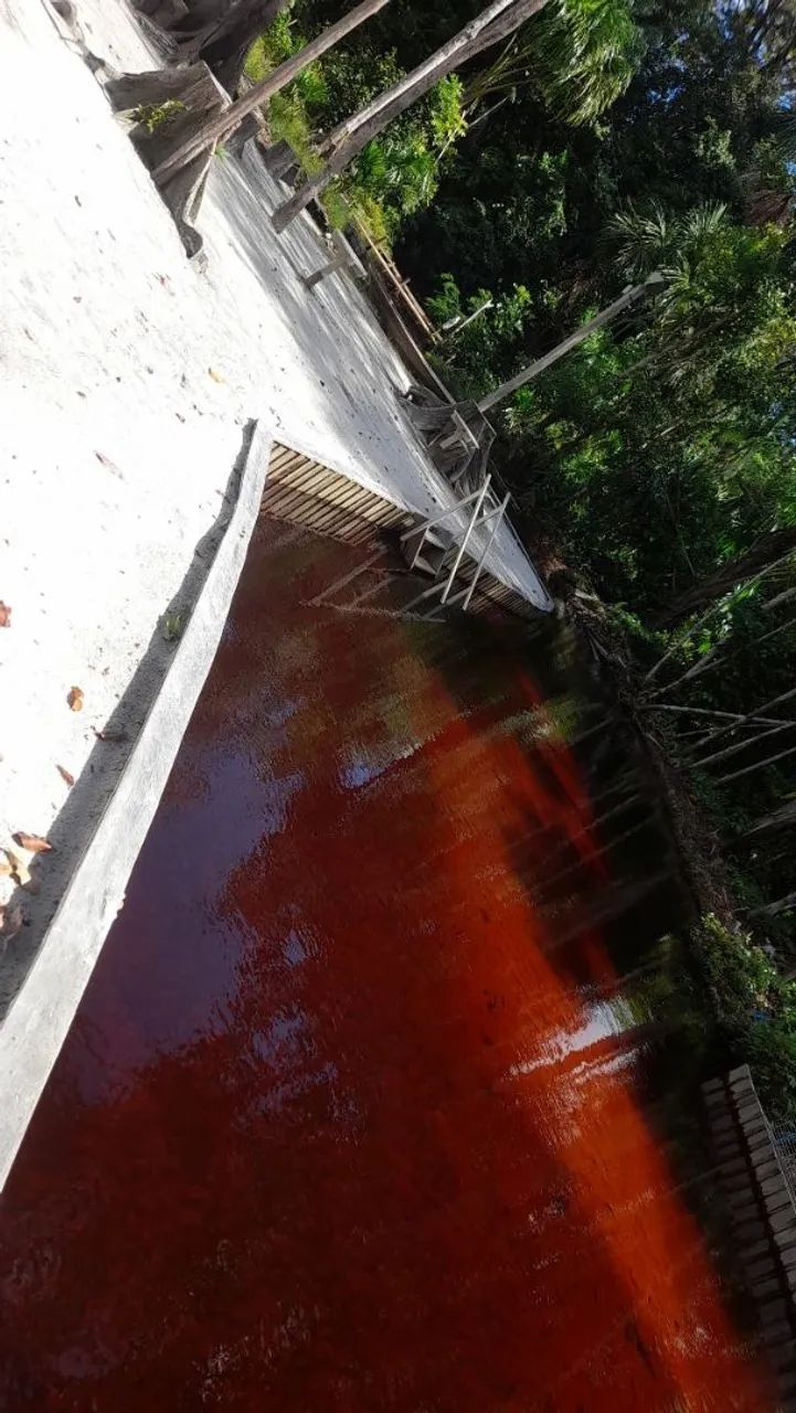 Sitio Estrada Novo Airão km 44 - Foto 11