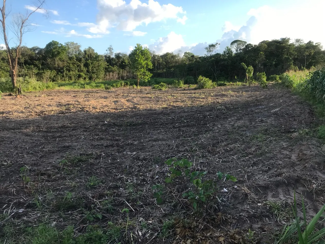Terreno/Lote 50x200 Alça Viária
