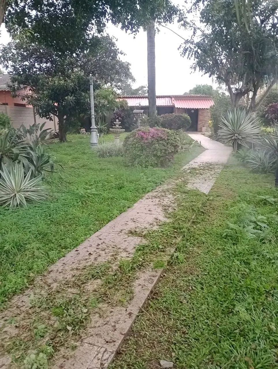 Jardineiro disponível  - Foto 4