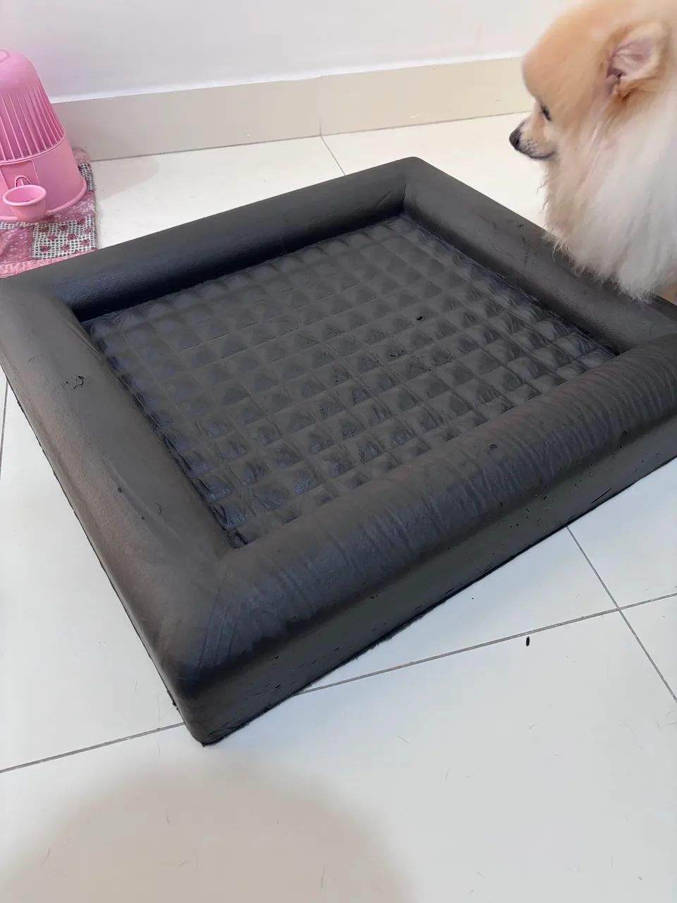 CAMA Zee Dog - Foto 2