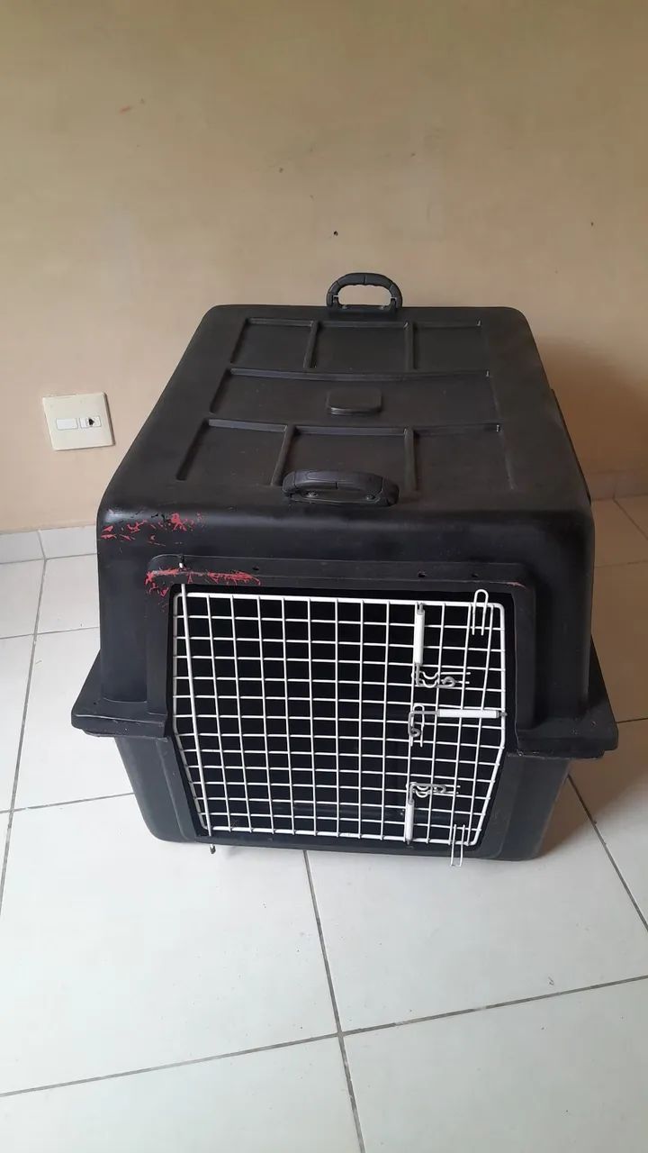 Caixa transportadora  - Foto 2