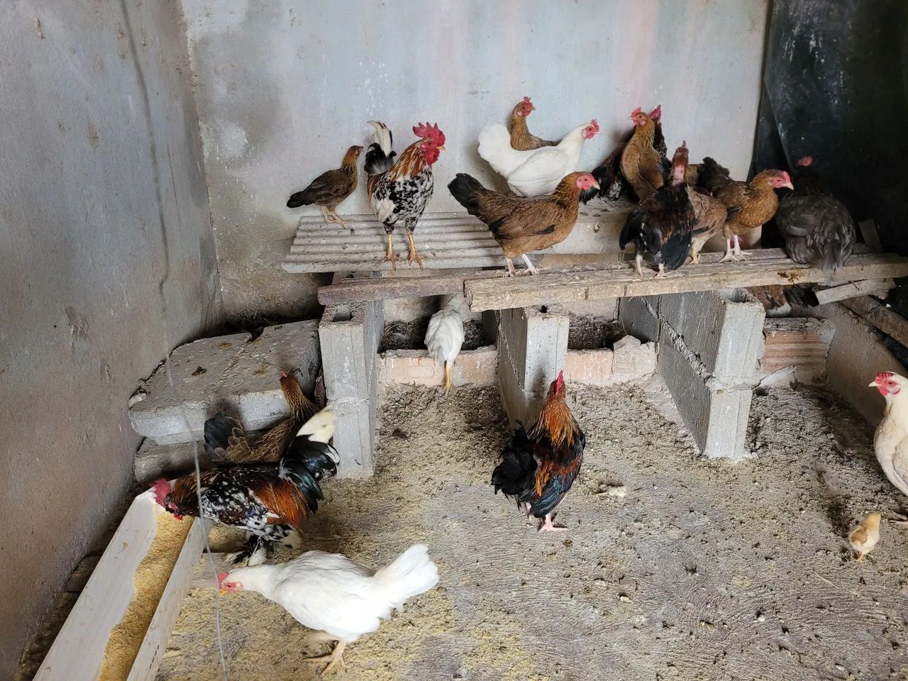 Casal Garnize  - Foto 2