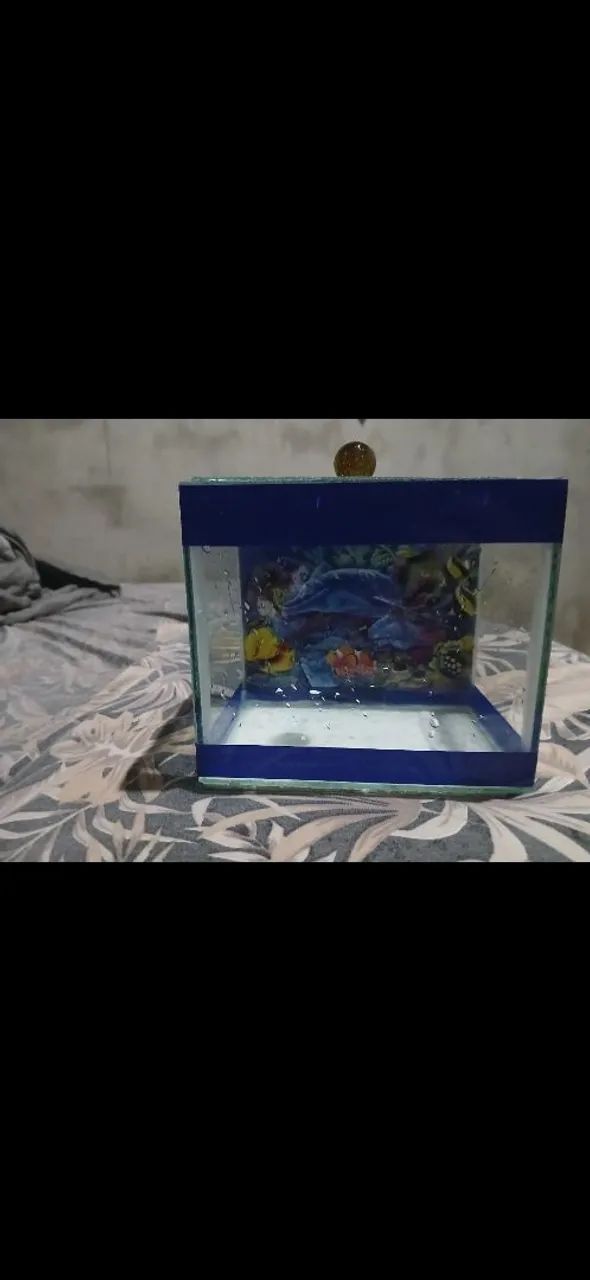 Aquário 3l+ Ração Poyatara Betta