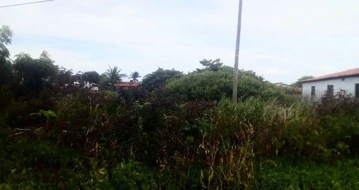 Terreno - Foto 3