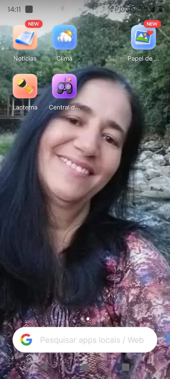 Diária,limpeza de muros calçadas 