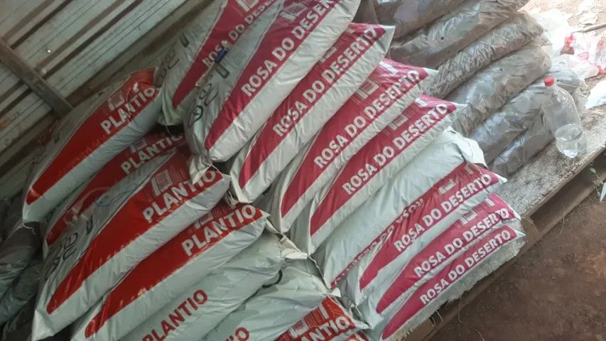 SUBSTRATO DE ROSAS  - Foto 2