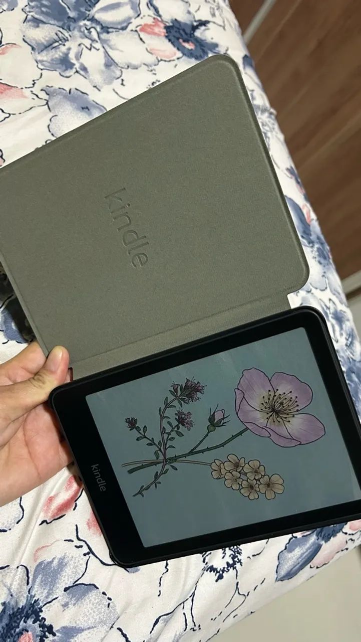 Kindle colorsoft 