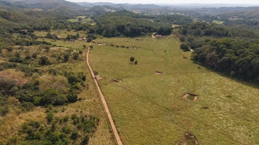 Fazenda para Pecuária 241 hectares - Foto 3