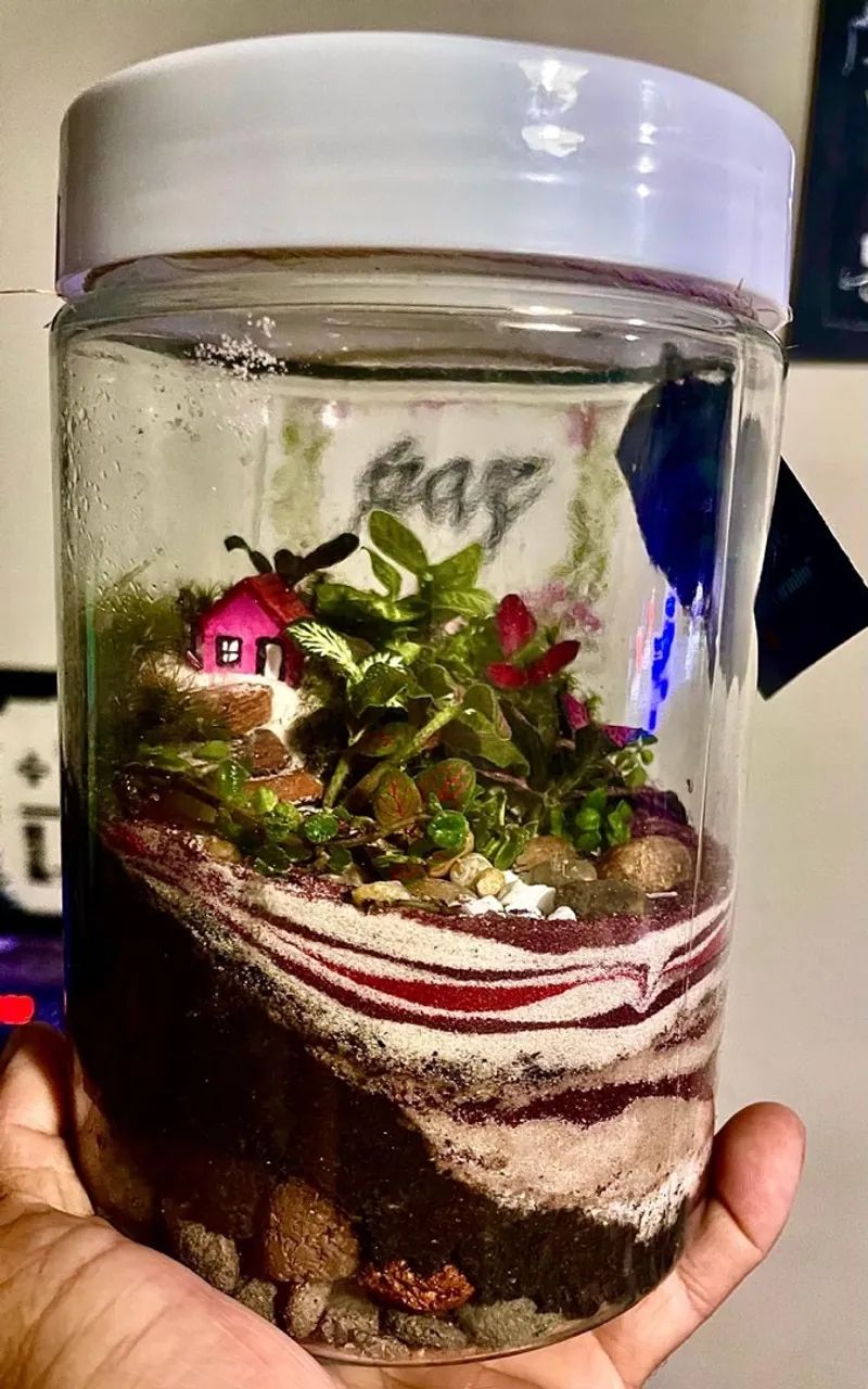 Terrário  - Foto 4