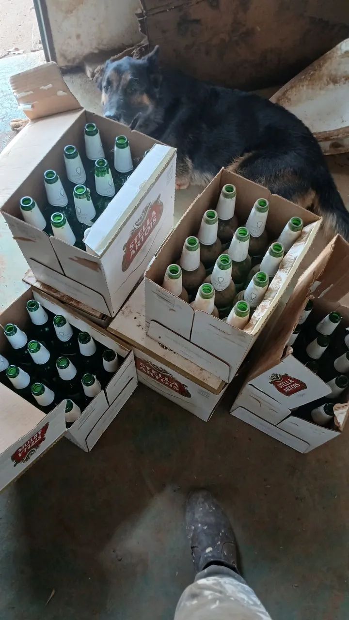 Vendo 7 caixas de Stella Artonis - Foto 3