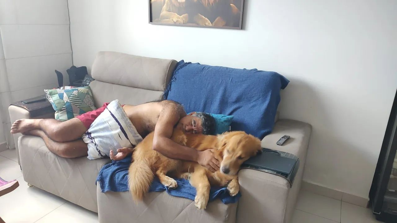 Hotelzinho caseiro sem canil! - Foto 5