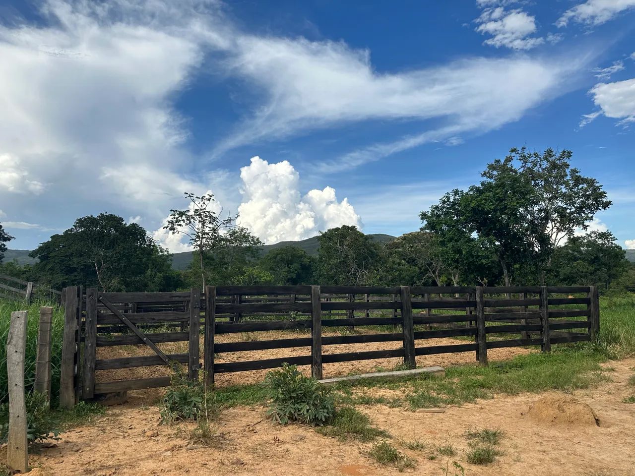 Vendo Fazenda  - Foto 4