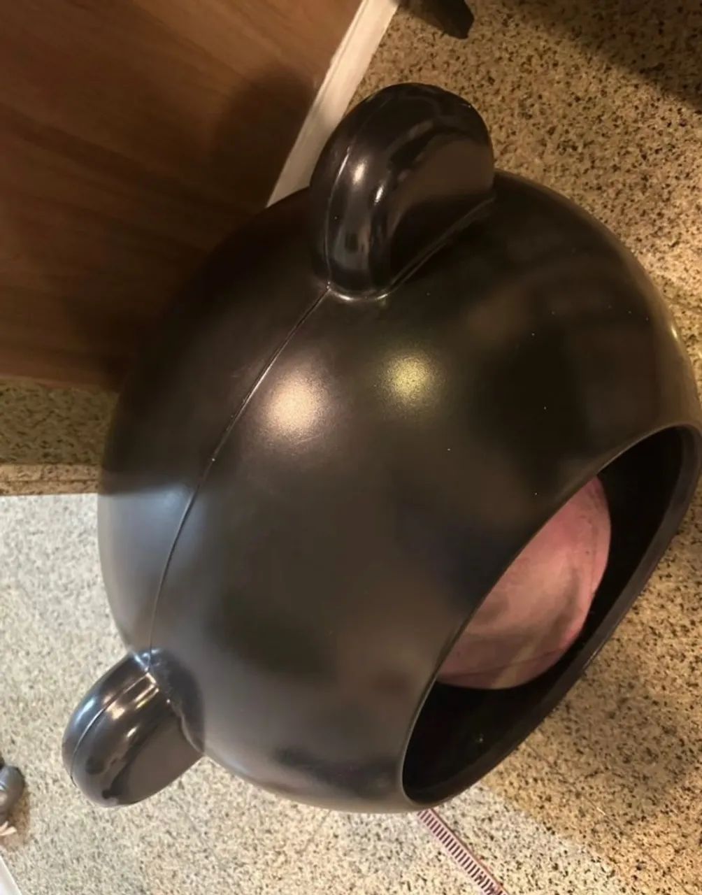 casa de cachorro - Foto 4