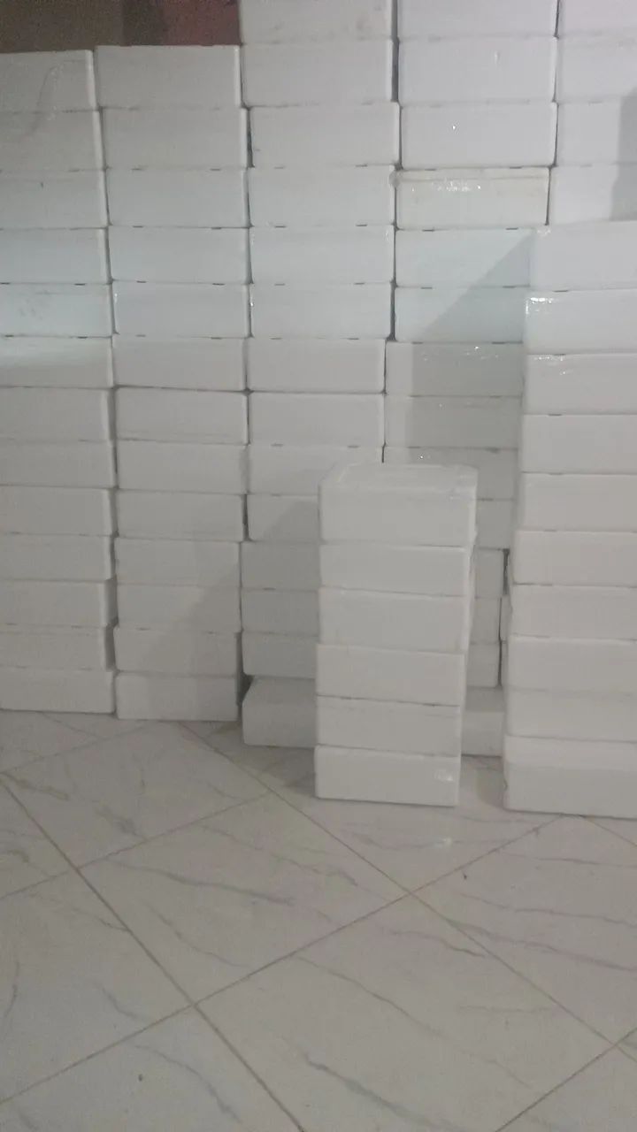 Caixa de isopor para peixe picolé  - Foto 4