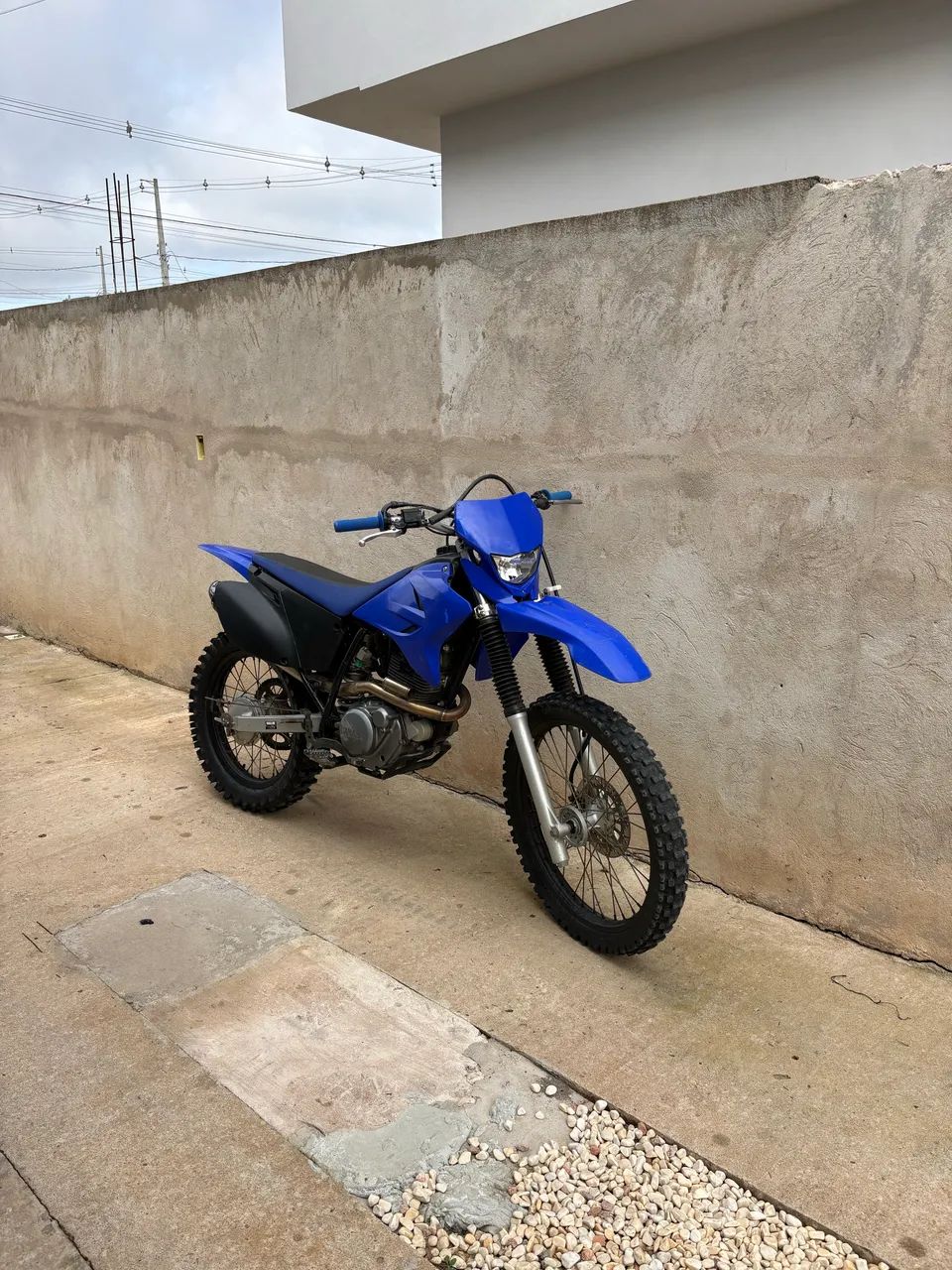 trr230