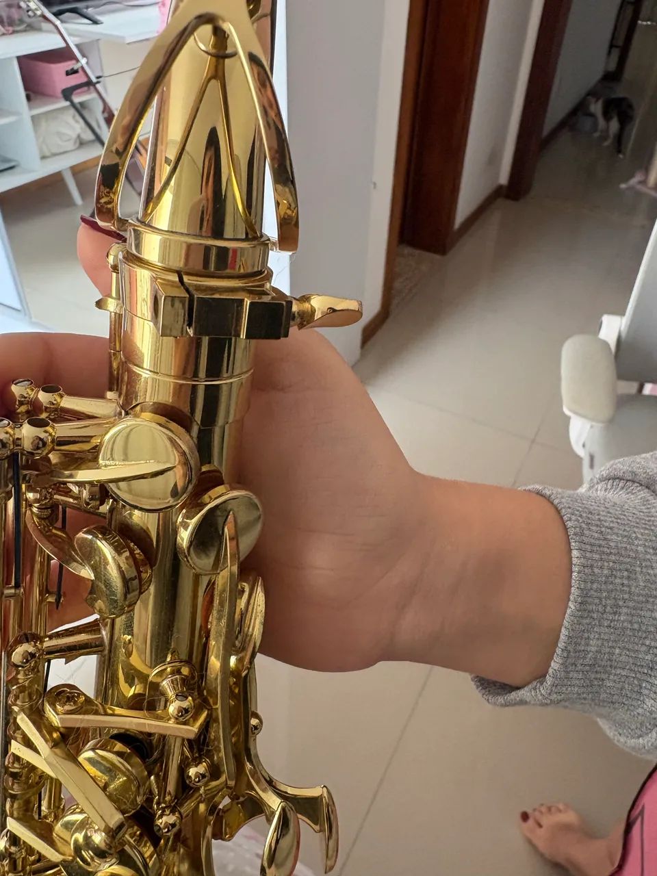 Sax Harmonics + capa + palheta  - Foto 3