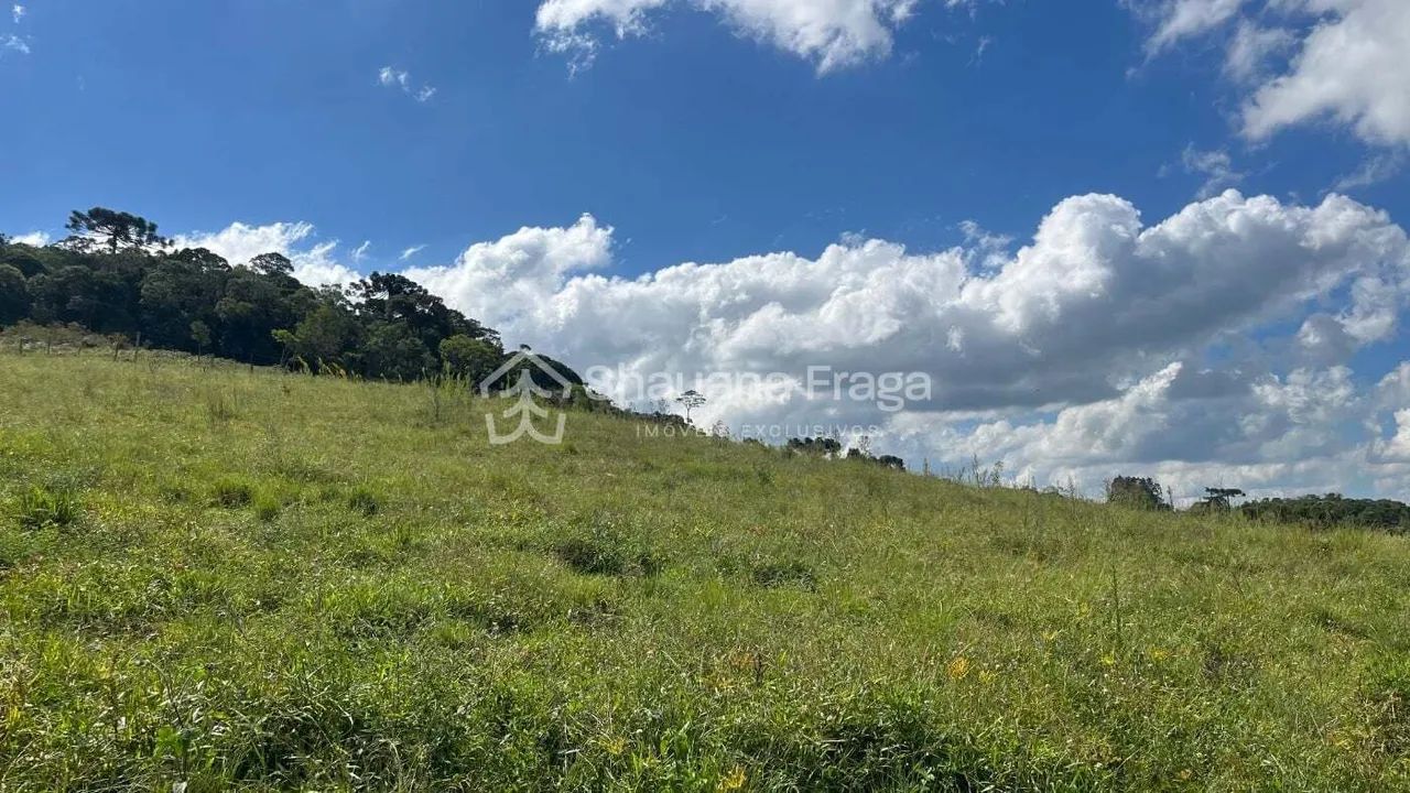 Terreno rural - Foto 4