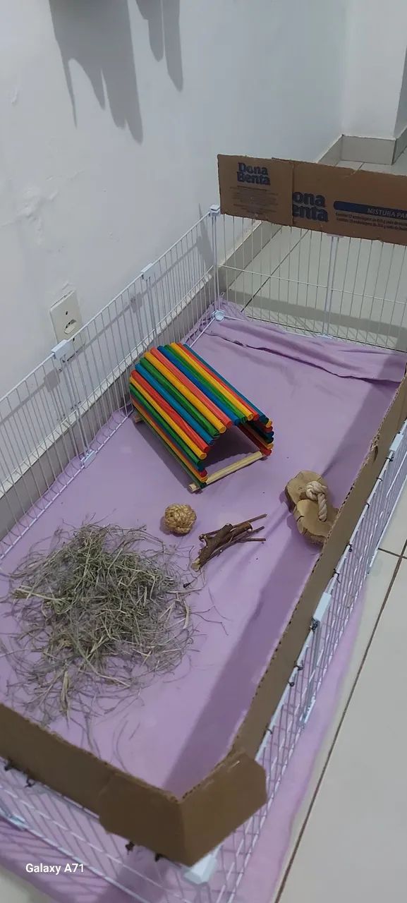 Toca para roedores - Foto 3