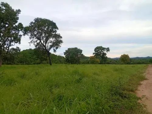Fazenda de 70 alqueires Faina-GO - Foto 3