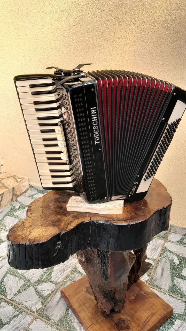 Acordeon todeschini super 5 - Foto 5
