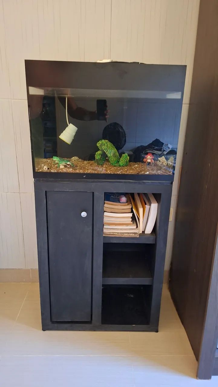 Aquário 70L com Móvel - Ótimo Estado 