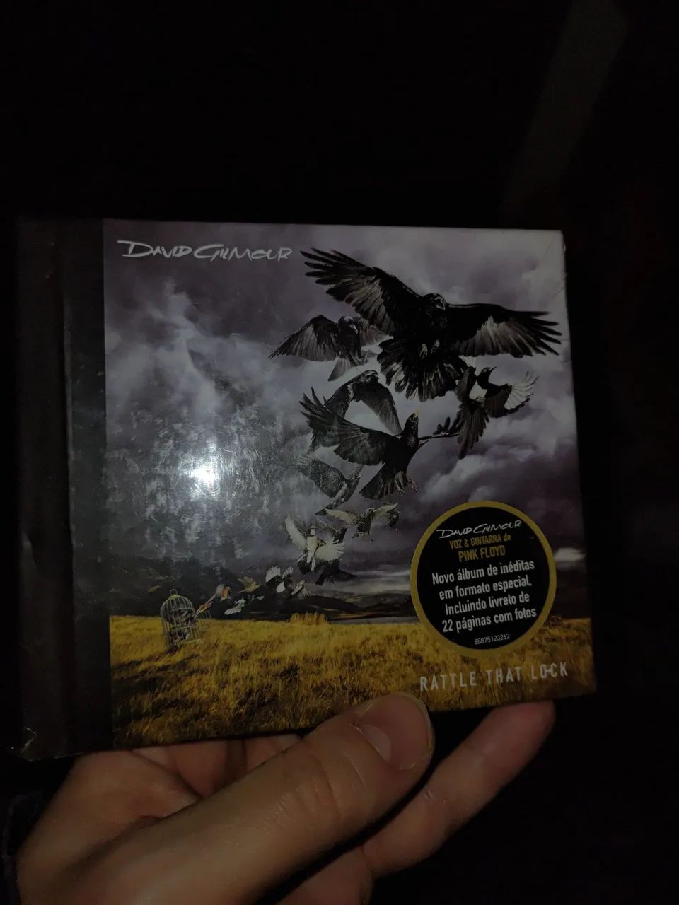 Cd david gilmour - ratle that lock (lacrado)