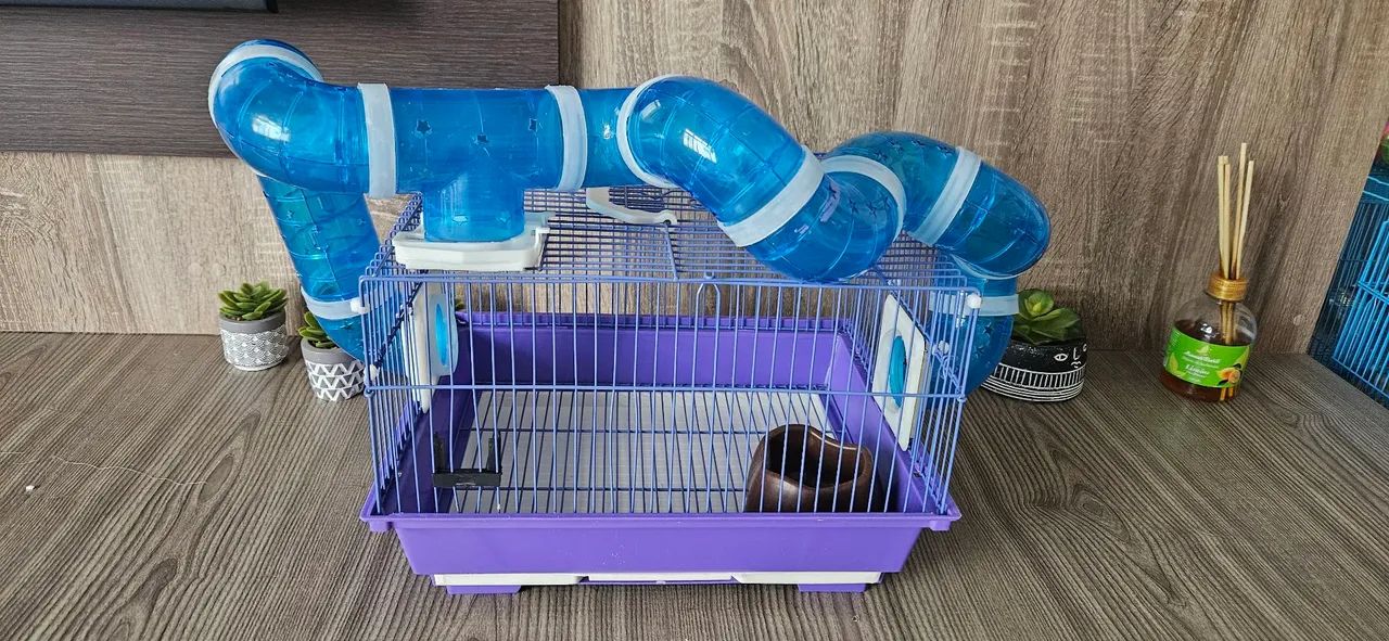 Gaiola para hamister ou rato - Foto 6