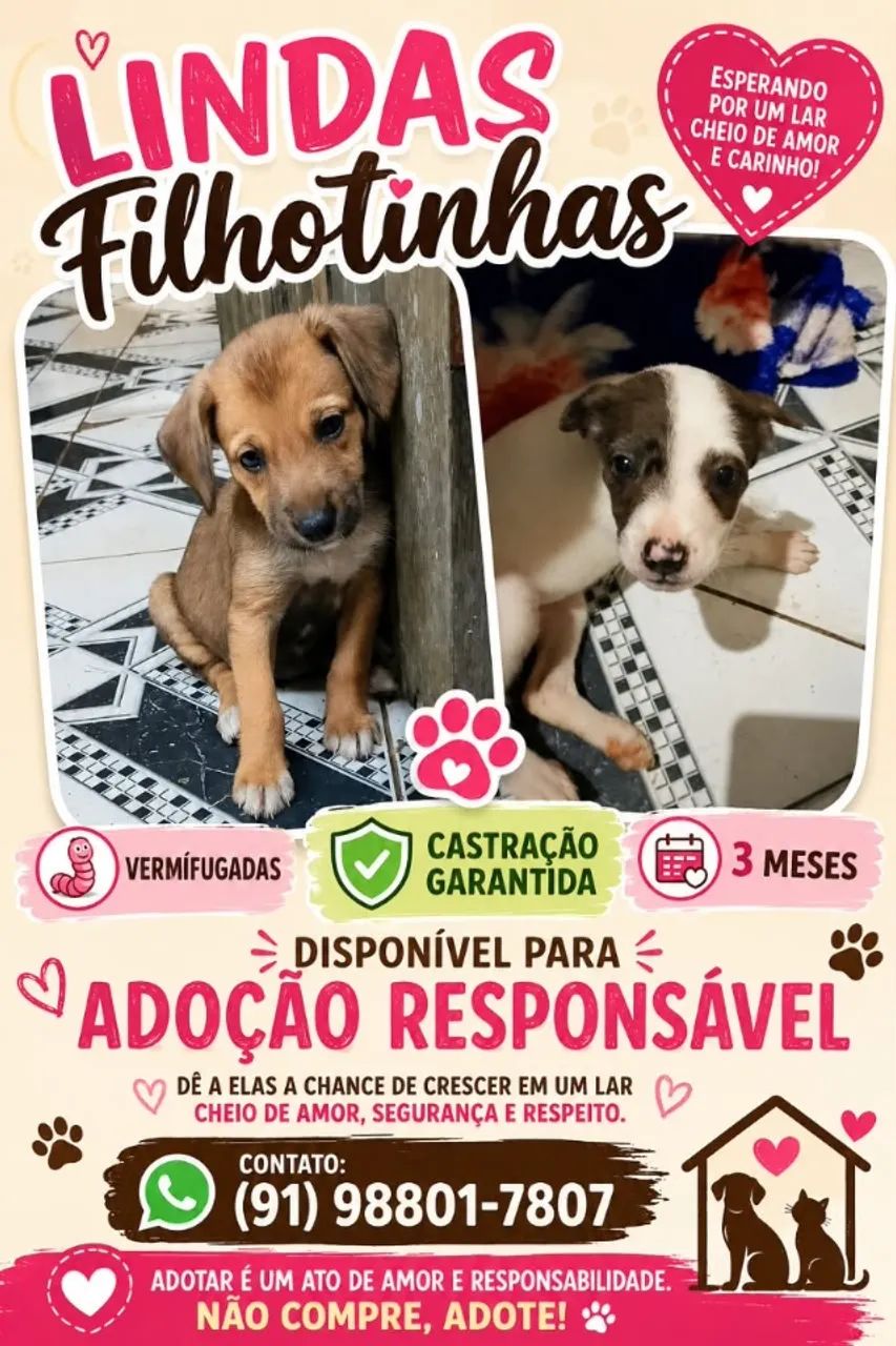 Adoção responsável 