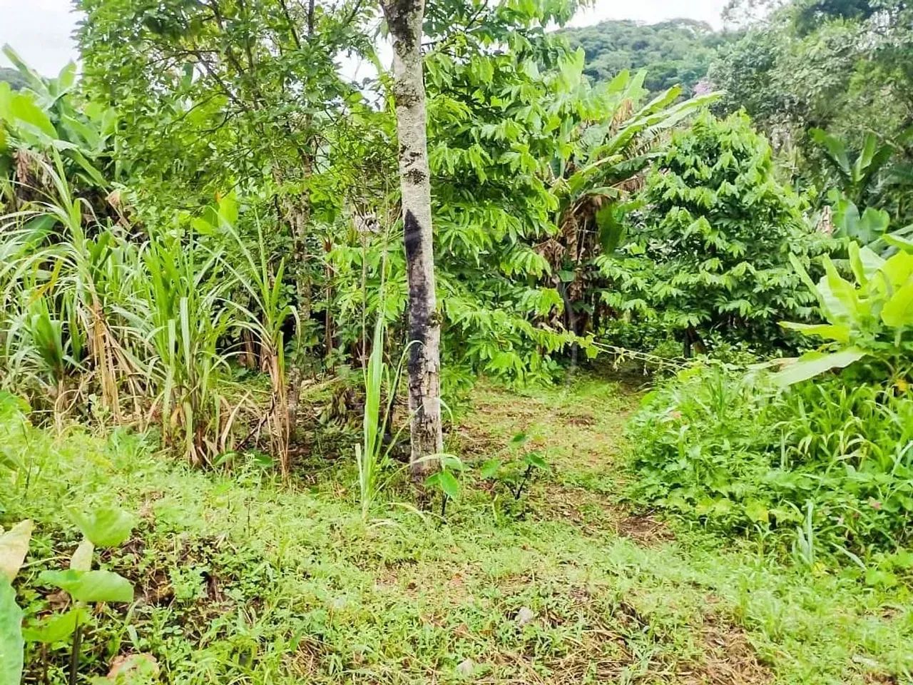 Chácara à venda na Barragem - Foto 5