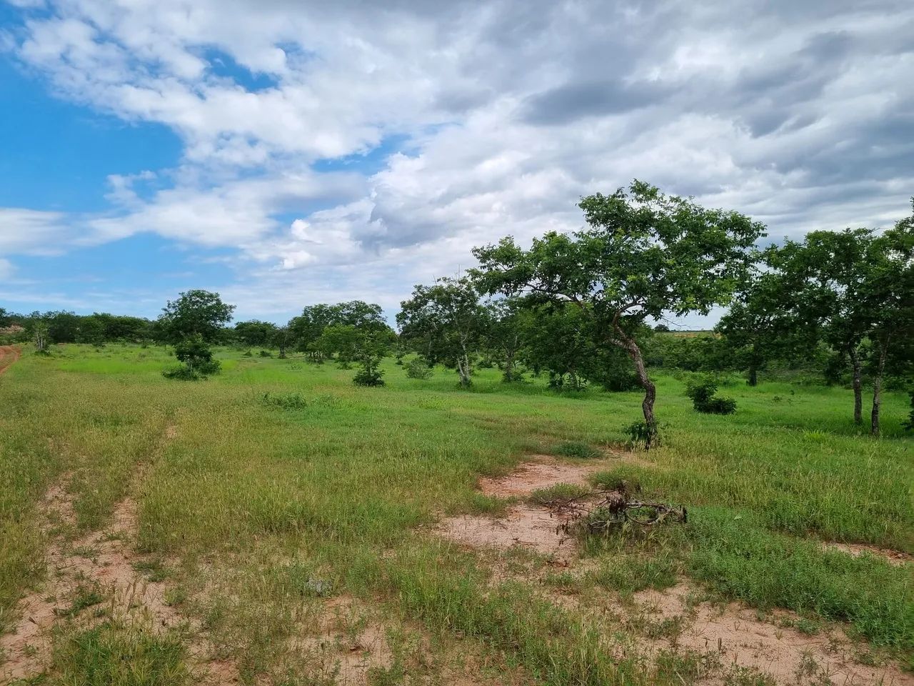 Fazenda barata em Urucuia MG  - Foto 5