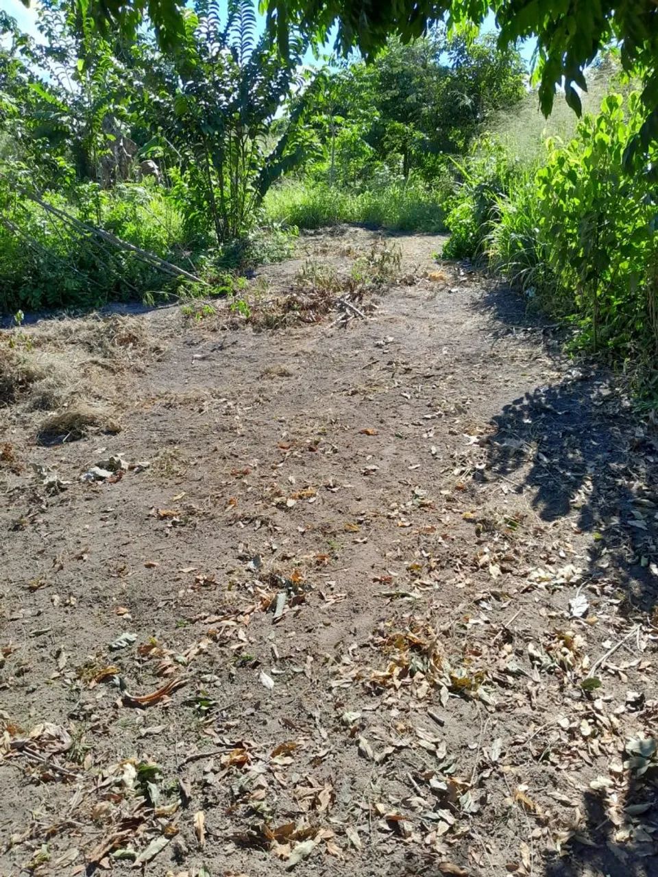 Venda de terreno na comunidade estrada nova