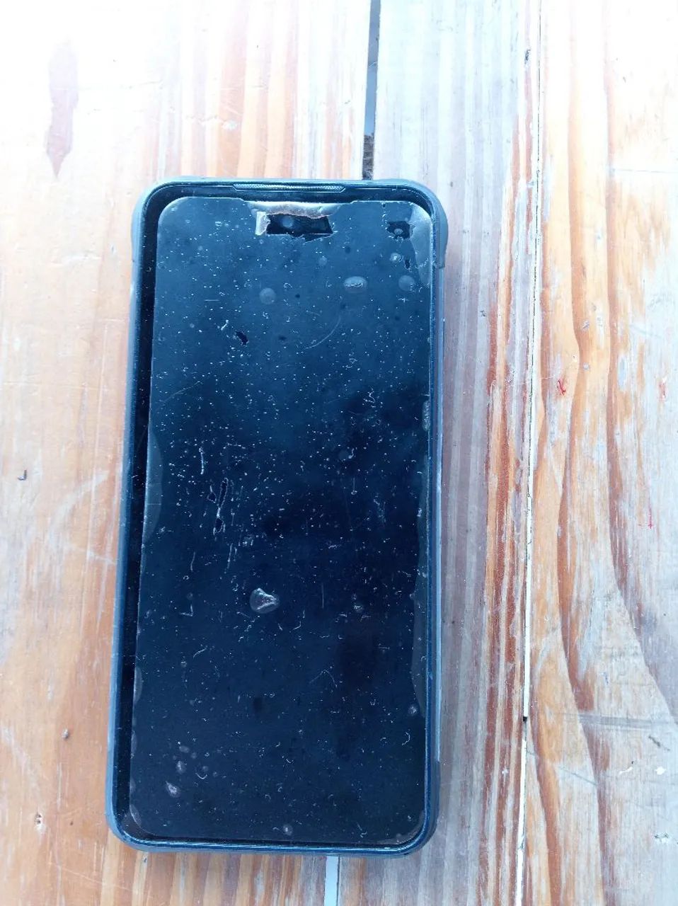 Celular bison