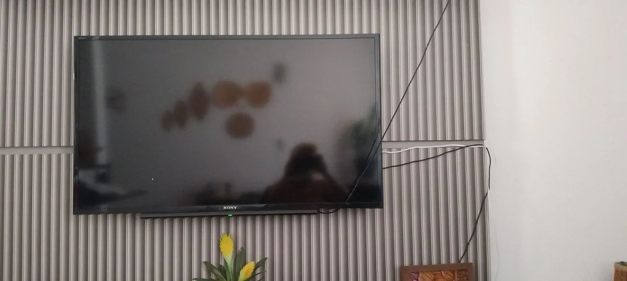 Televisão 